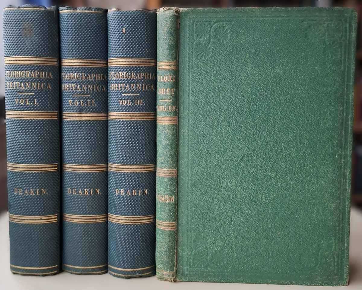 Florigraphia Britannica; or, engravings and descriptions of the flowering plants and ferns of Britain. Four volumes. [C.E. Salmon's copy]