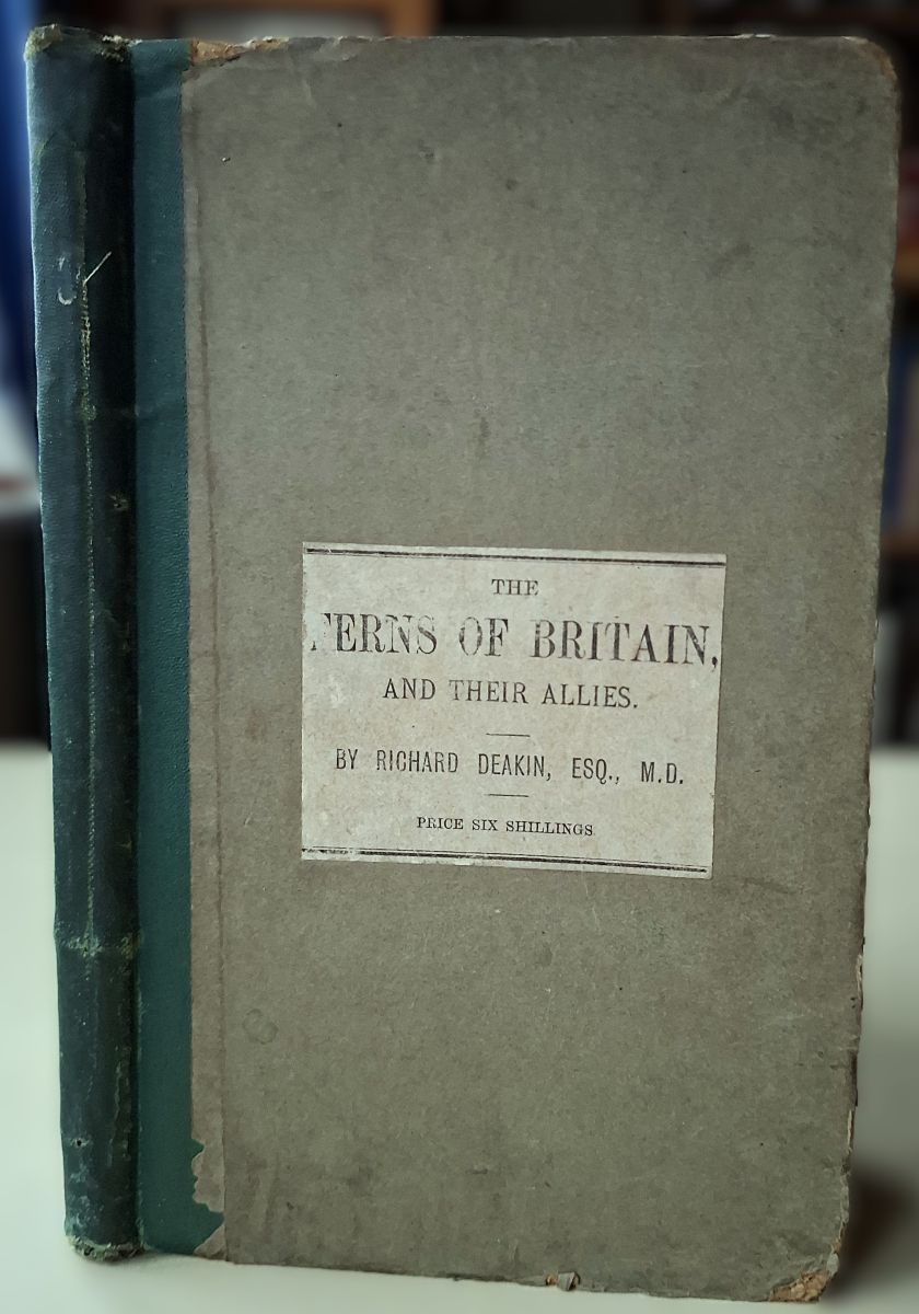 The Ferns of Britain, and their Allies; comprising Equisetaceae, Filicaceae, Lycopodiaceae & Marsileacee