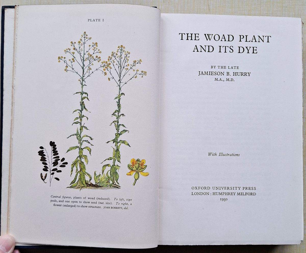 The Woad Plant and its Dye [Anthony Huxley's copy]