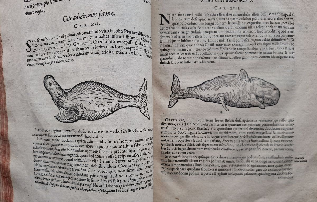Exoticarum libri decem: quibus animalium, plantarum, aromatum, aliorumque peregrinorum fructuum historiae descibuntur. BOUND WITH Curae Posteriores. BOUND WITH Cenomani Plumarum singularum & memorabilium rerum in Graecio, Asia, Aegypto, Indua, Arabio,.