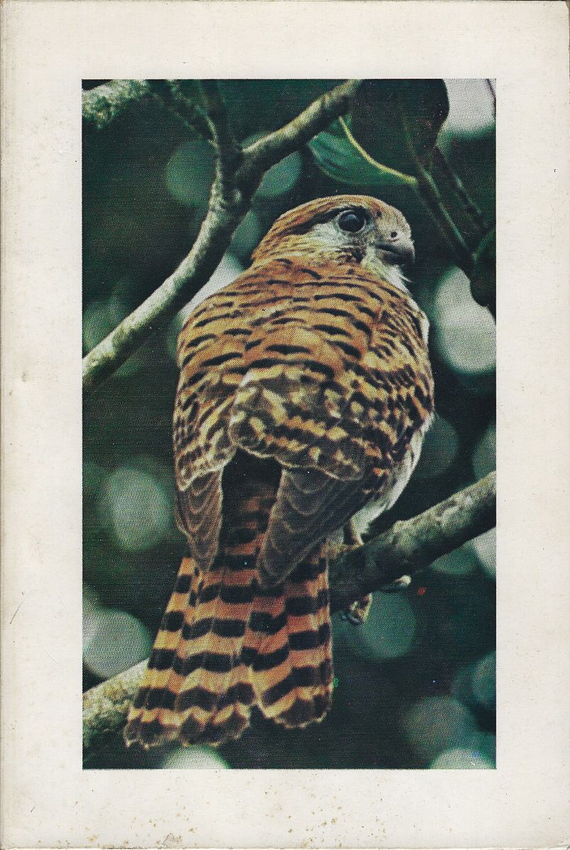 Oiseaux de l'Ile Maurice et de Rodrigue