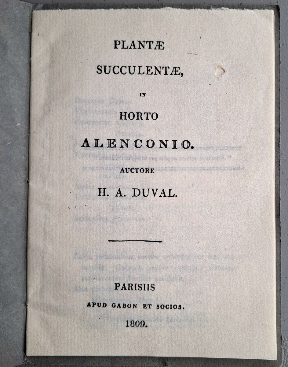 Plantae Succulentae in Horto Alenconio