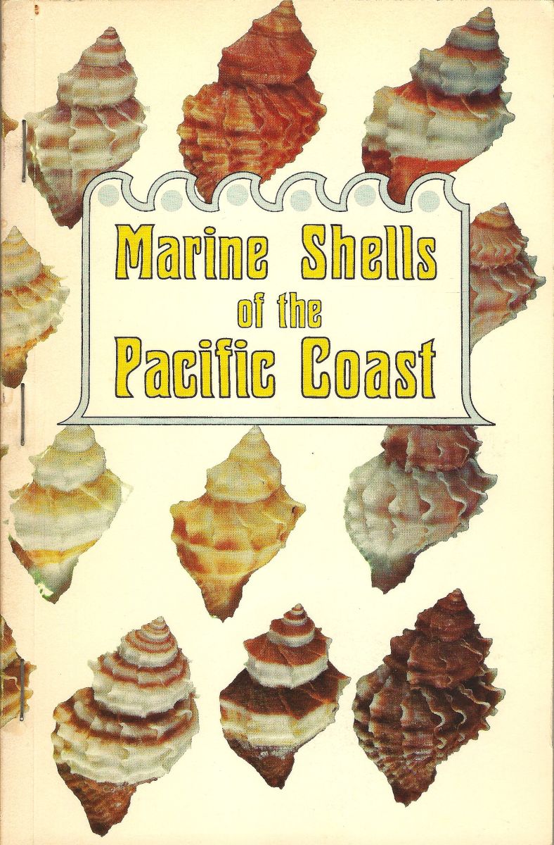 Marine Shells of the Pacific Coast