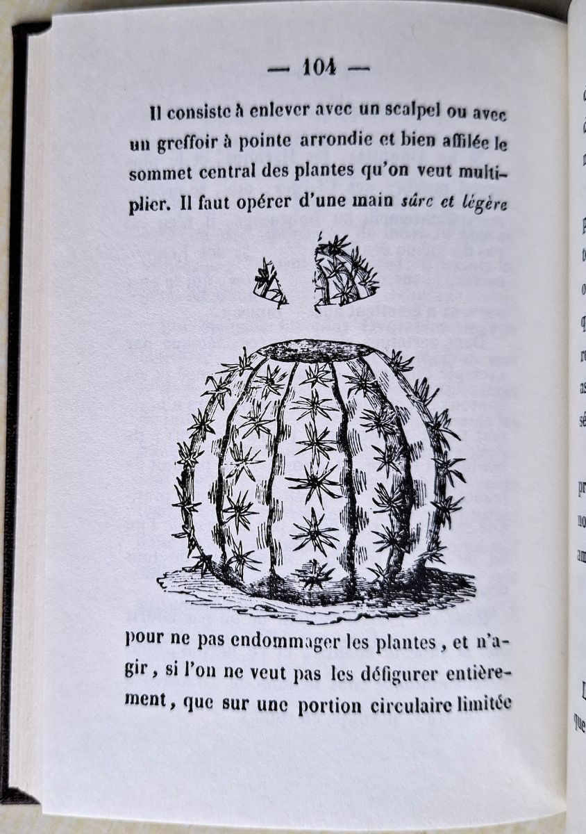 Manuel de l'Amateur de Cactus ou Histoire et Culture des plantes de la famille des Cactacees