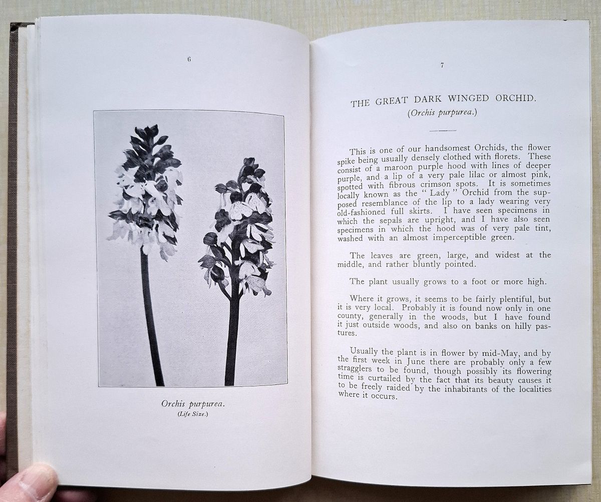 Native Orchids of Britain - descriptive notes on all species together with some hybrids and abnormal forms. With signed note from author)