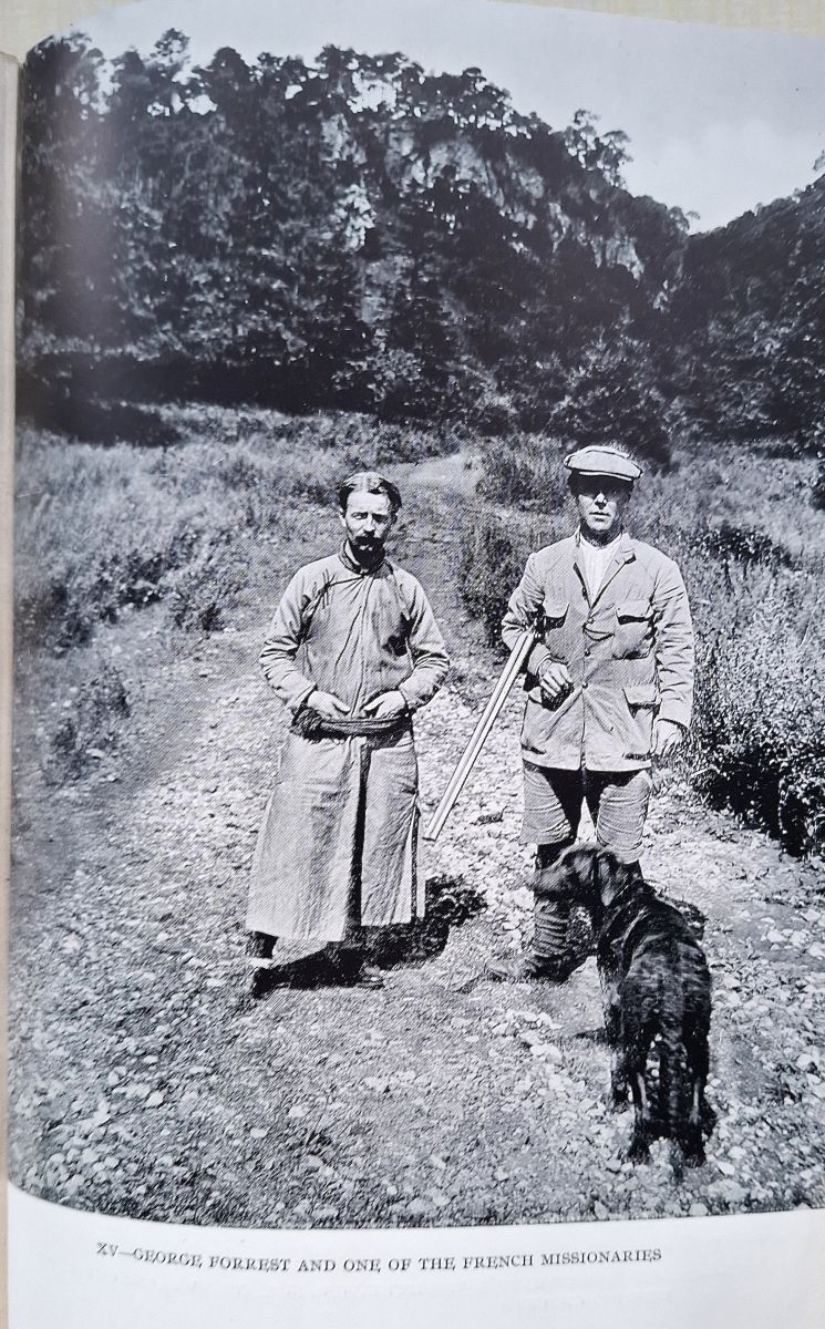 Plant Hunting in China - a history of botanical exploration in China and the Tibetan marches