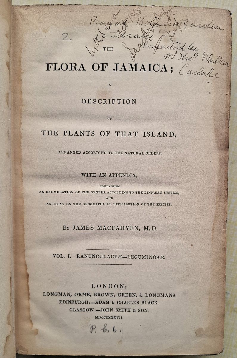 The Flora of Jamaica; a description of the plants of that island arranged according to the natural orders. Volume 1 - Ranunculaceae to Leguminosae (all published)