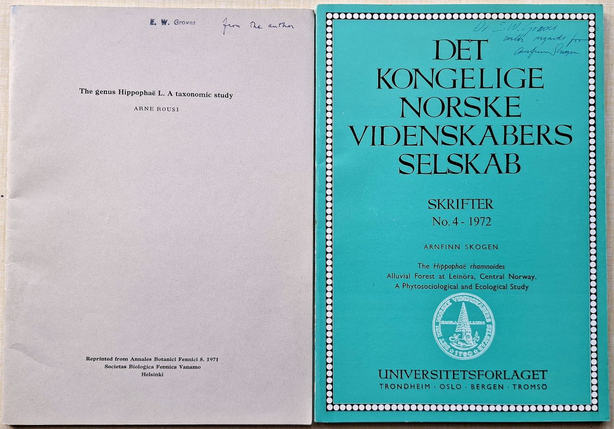 The Genus Hippophae - A Taxonomic Study. (with) The Hippophae rhamnoides Alluvial Forest at Leinora, Central Norway - A Phytosociological and Ecological Study (Eric Groves' copies)