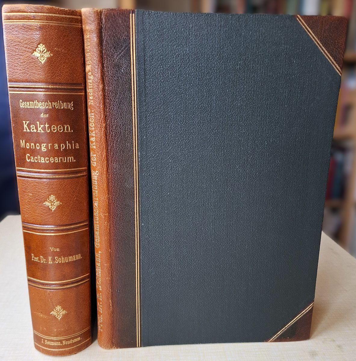Gesamtbeschreibung der Kakteen (Monographia Cactacearum). [with Nachtrage 1898 bis 1902]. Two volumes.