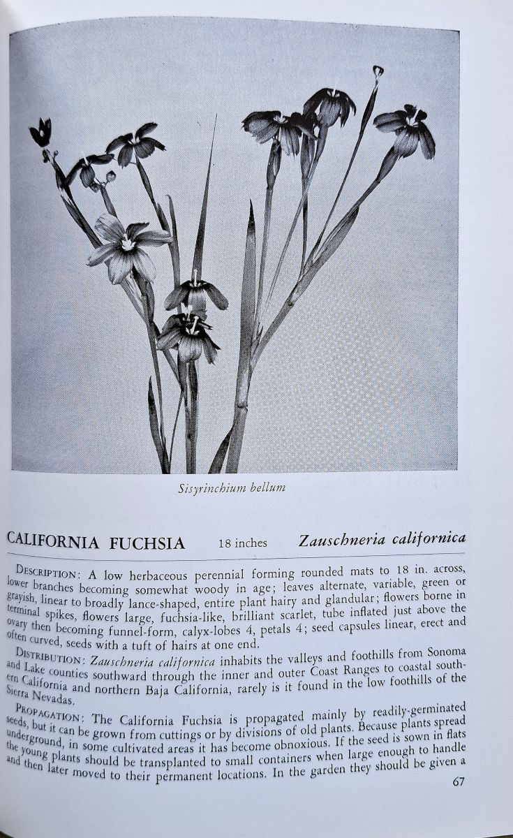 Native Plants for California Gardens