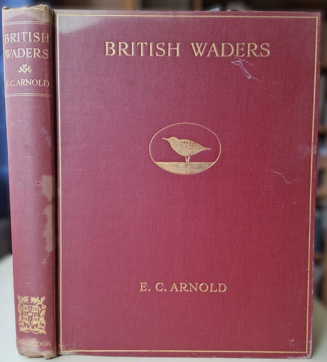 British Waders - Illustrated in Water-Colour with Descriptive Notes [Richard Fitter's copy, with prize label signed by author