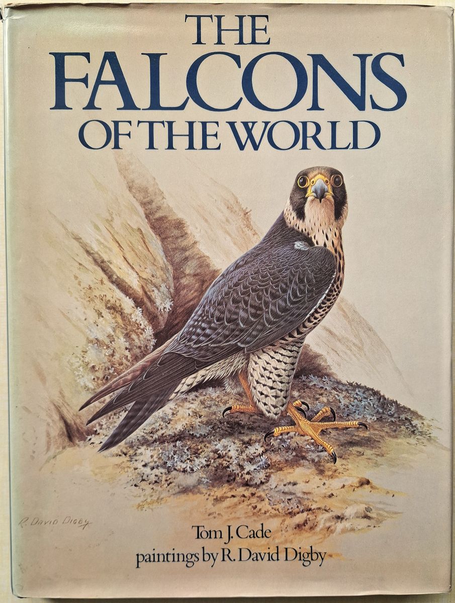 The Falcons of the World (Richard Fitter's copy)
