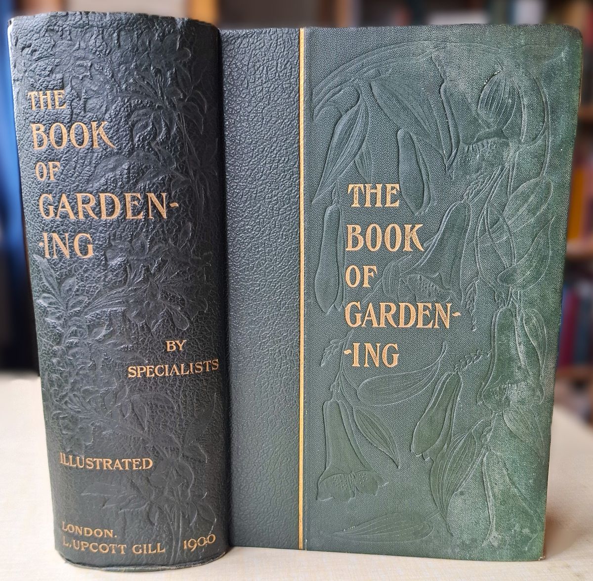 The Book of Gardening - A Handbook of Horticulture