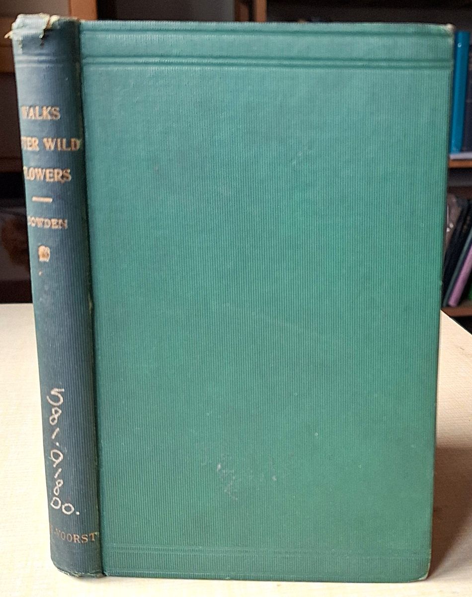 Walks After Wild Flowers; or, the Botany of the Bohoreens