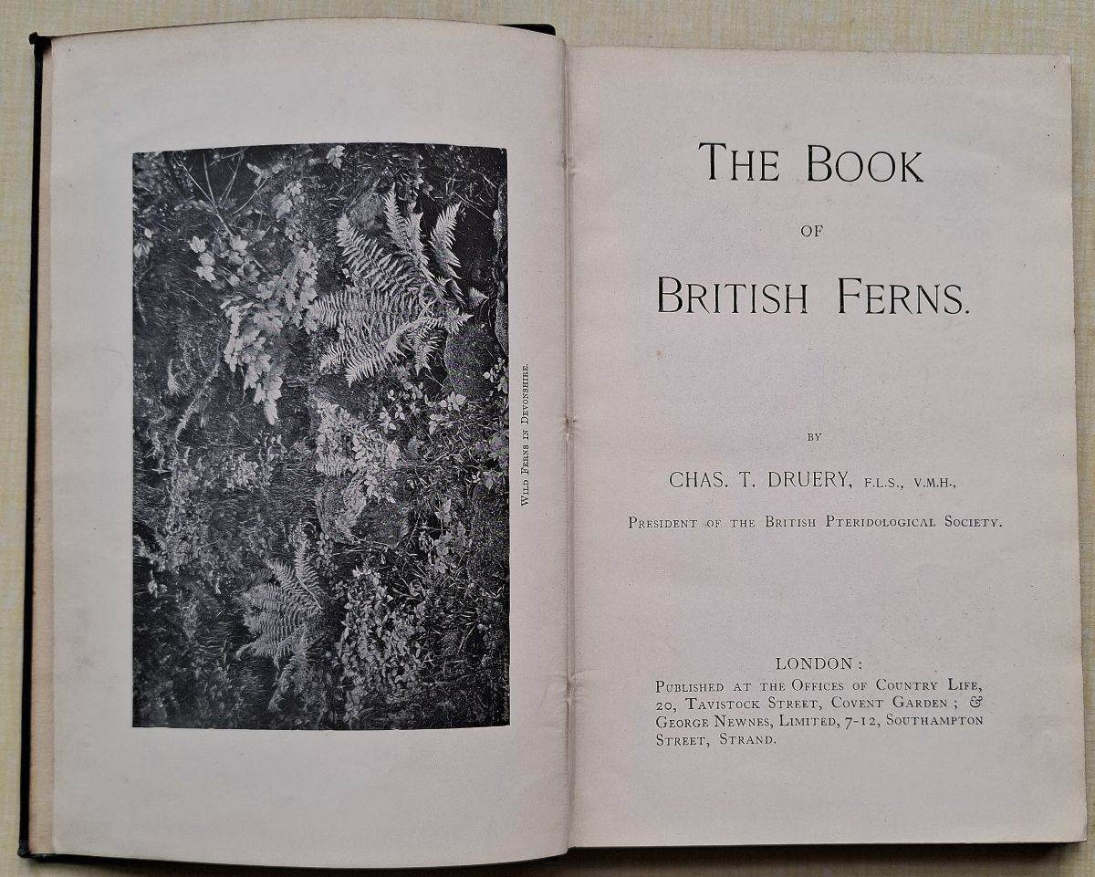 The Book of British Ferns