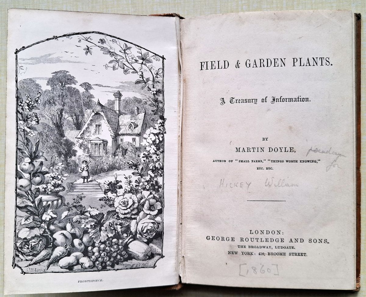 Image for Field and Garden Plants - a treasury of information Field and Garden Plants - a treasury of information