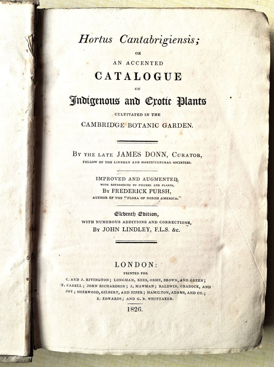 Image for Hortus Cantabrigiensis, or an accented catalogue of indigenous and exotic plants cultivated in the Cambridge Botanic Garden Hortus Cantabrigiensis, or an accented catalogue of indigenous and exotic plants cultivated in the Cambridge Botanic Garden