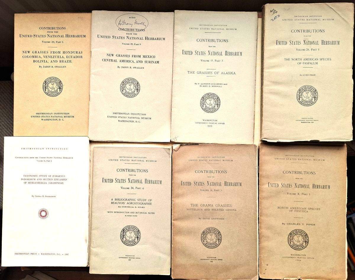 Image for Collection of grass floras and taxonomy, mainly North and South America - Festuca, Grama, Bouteloua, Paspalum, Podosemum, Aristida, Panicum, Cuba, British Guiana, West Indies, Colombia, Mexico, Surinam, Alaska, Pacific Islands, Collection of grass floras and taxonomy, mainly North and South America - Festuca, Grama, Bouteloua, Paspalum, Podosemum, Aristida, Panicum, Cuba, British Guiana, West Indies, Colombia, Mexico, Surinam, Alaska, Pacific Islands,