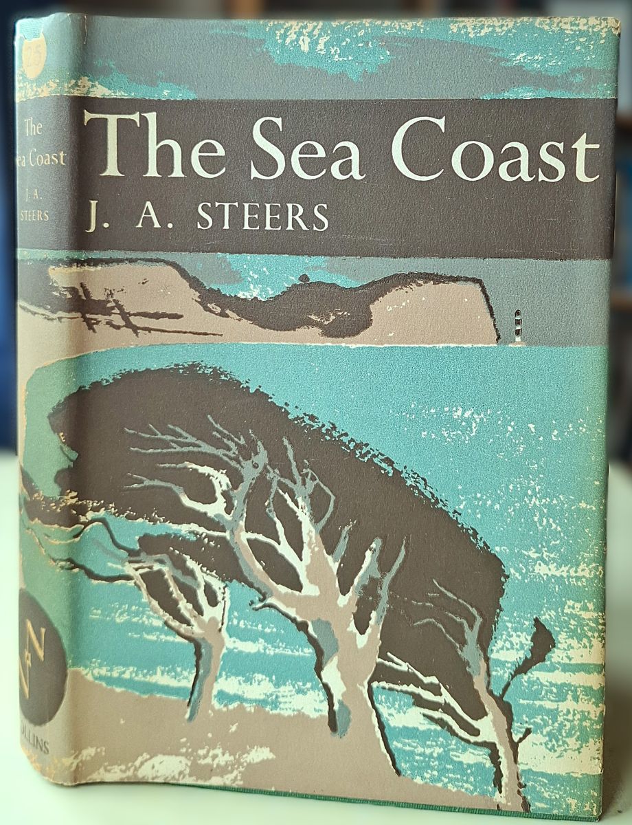 The Sea Coast