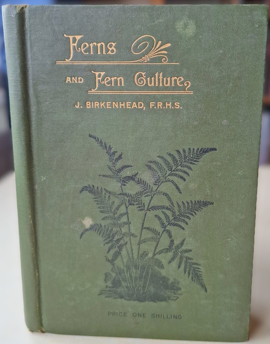 Image for Ferns and Fern Culture Ferns and Fern Culture