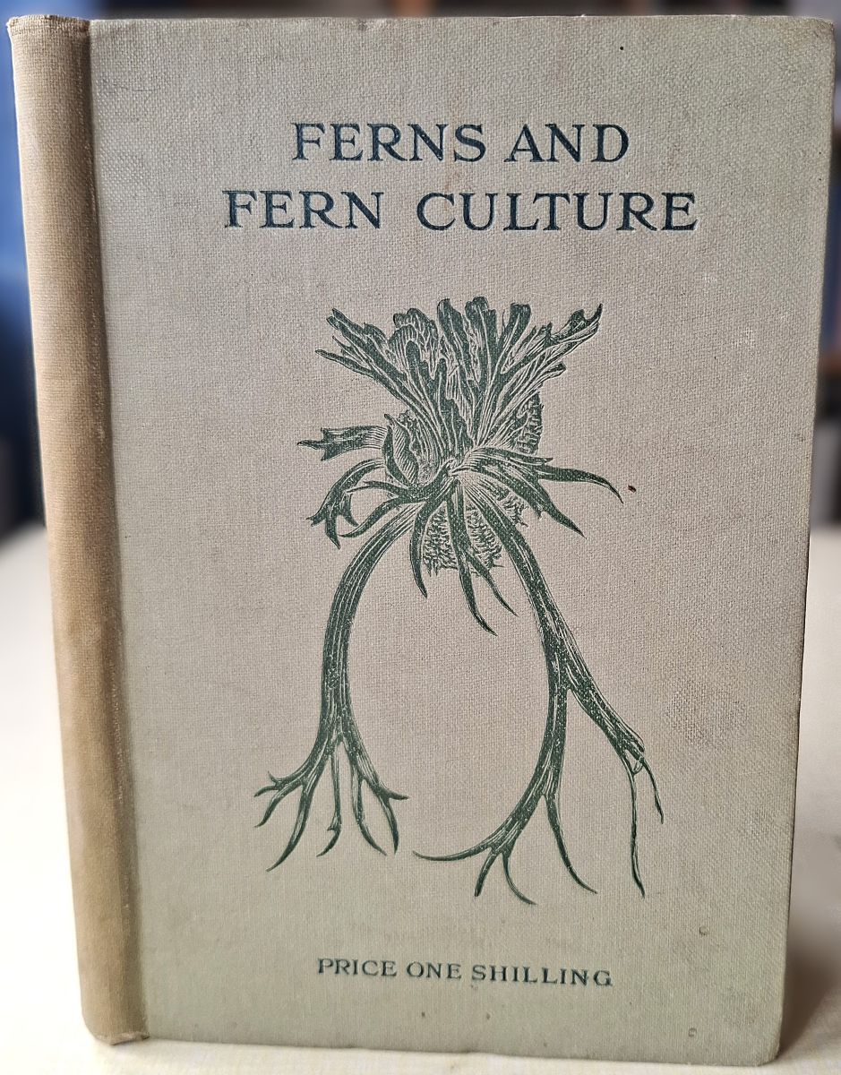 Image for Ferns and Fern Culture Ferns and Fern Culture