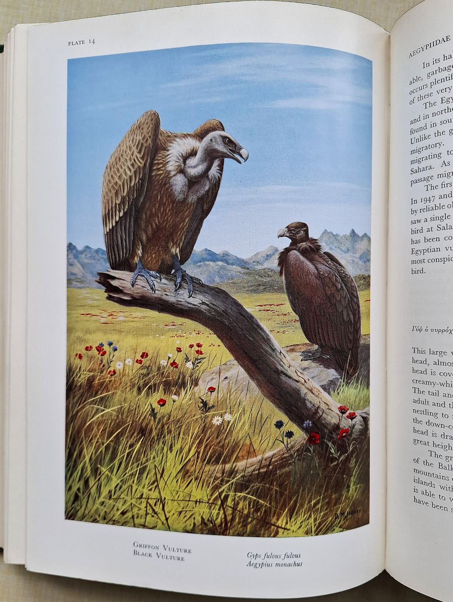 Birds of Cyprus [Richard Fitter's copy]