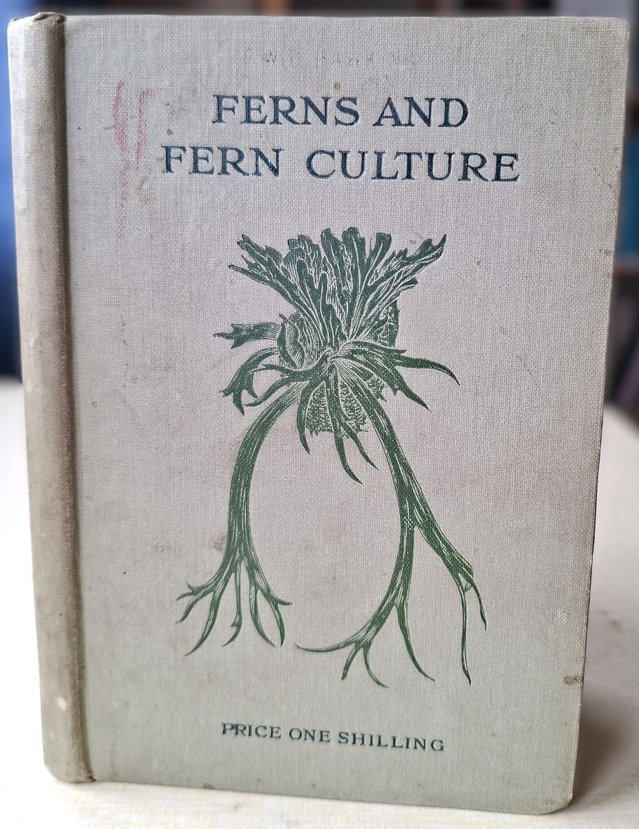Image for Ferns and Fern Culture Ferns and Fern Culture