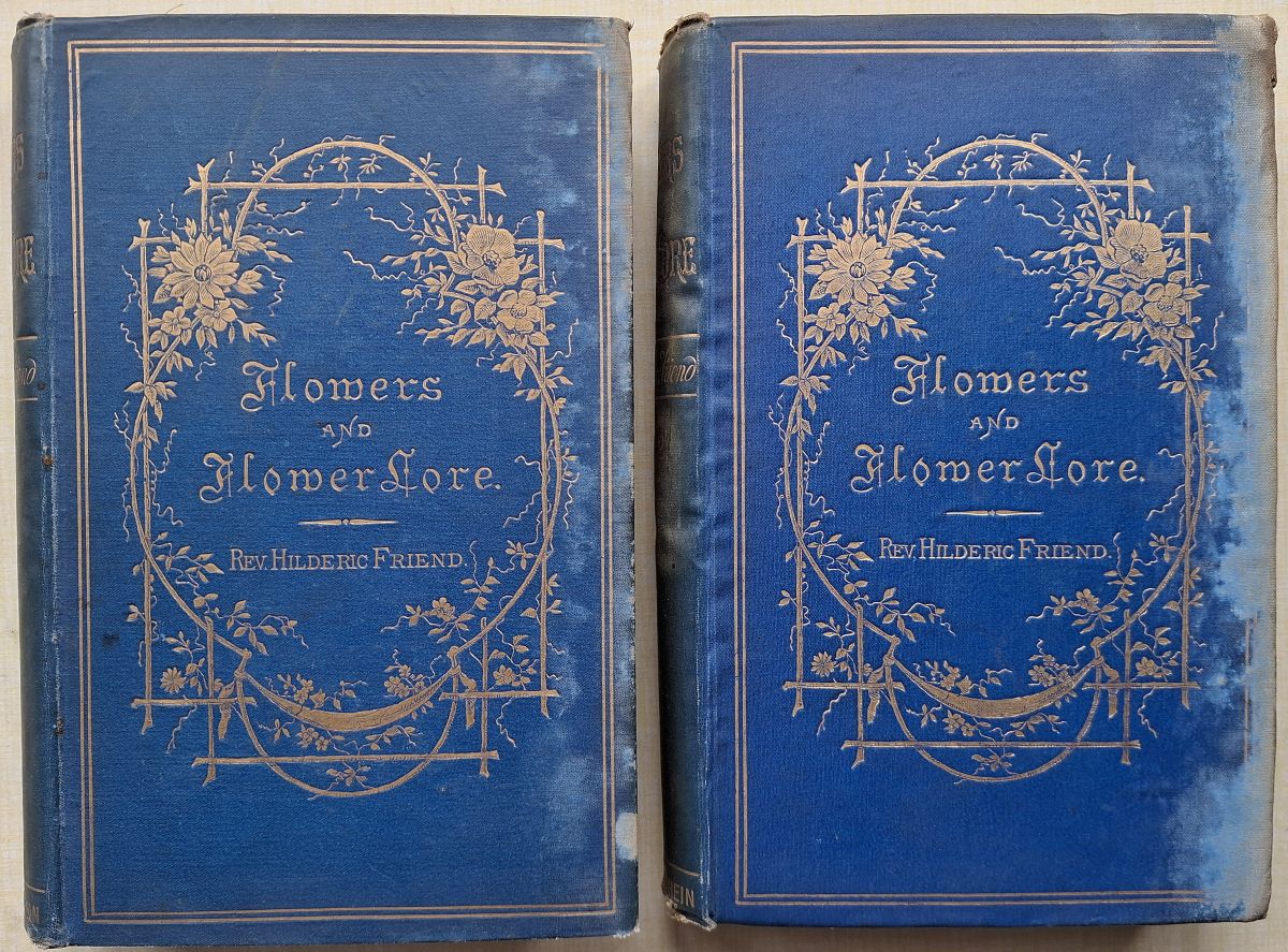 Image for Flowers and Flower Lore - Two volumes Flowers and Flower Lore - Two volumes