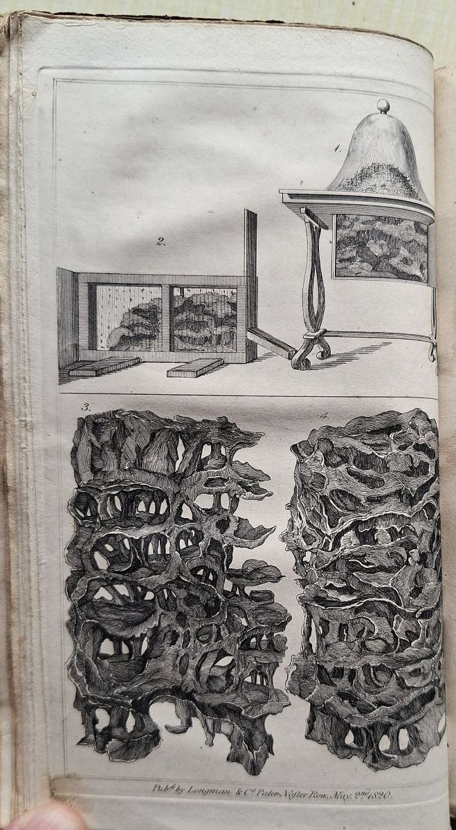 The Natural History of Ants