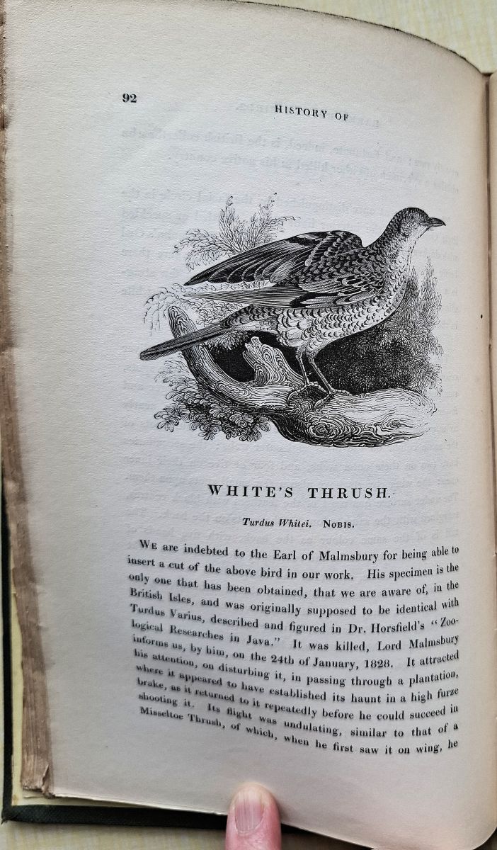 A History of the Rarer British Birds; A Catalogue of British Birds