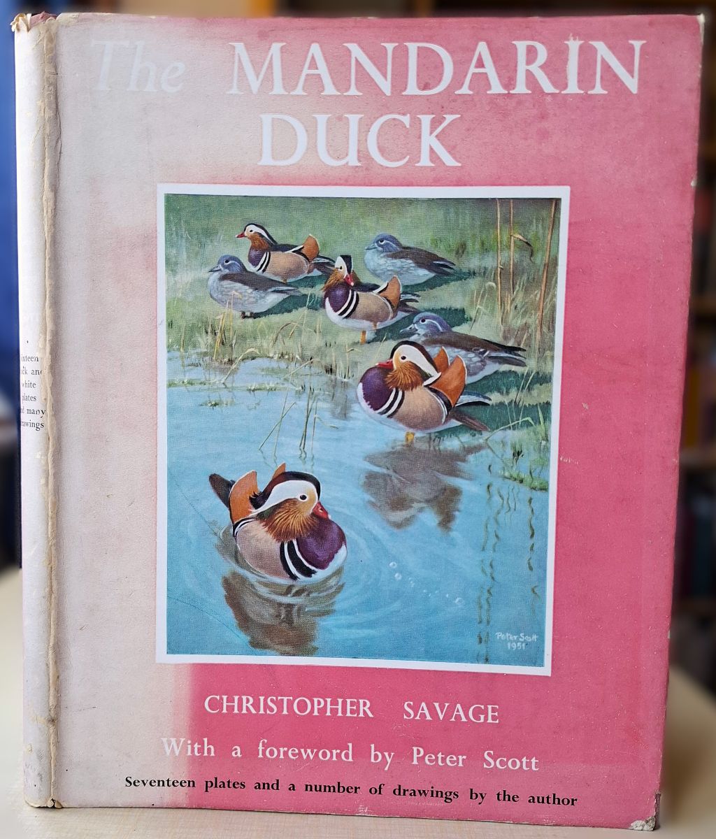 The Mandarin Duck [Richard Fitter's copy]