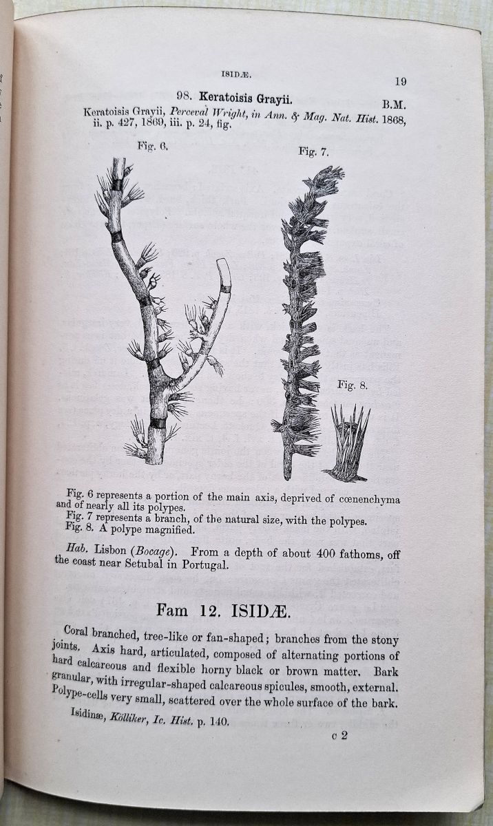 Catalogue of Lithophytes or Stony Corals in the Collection of the British Museum