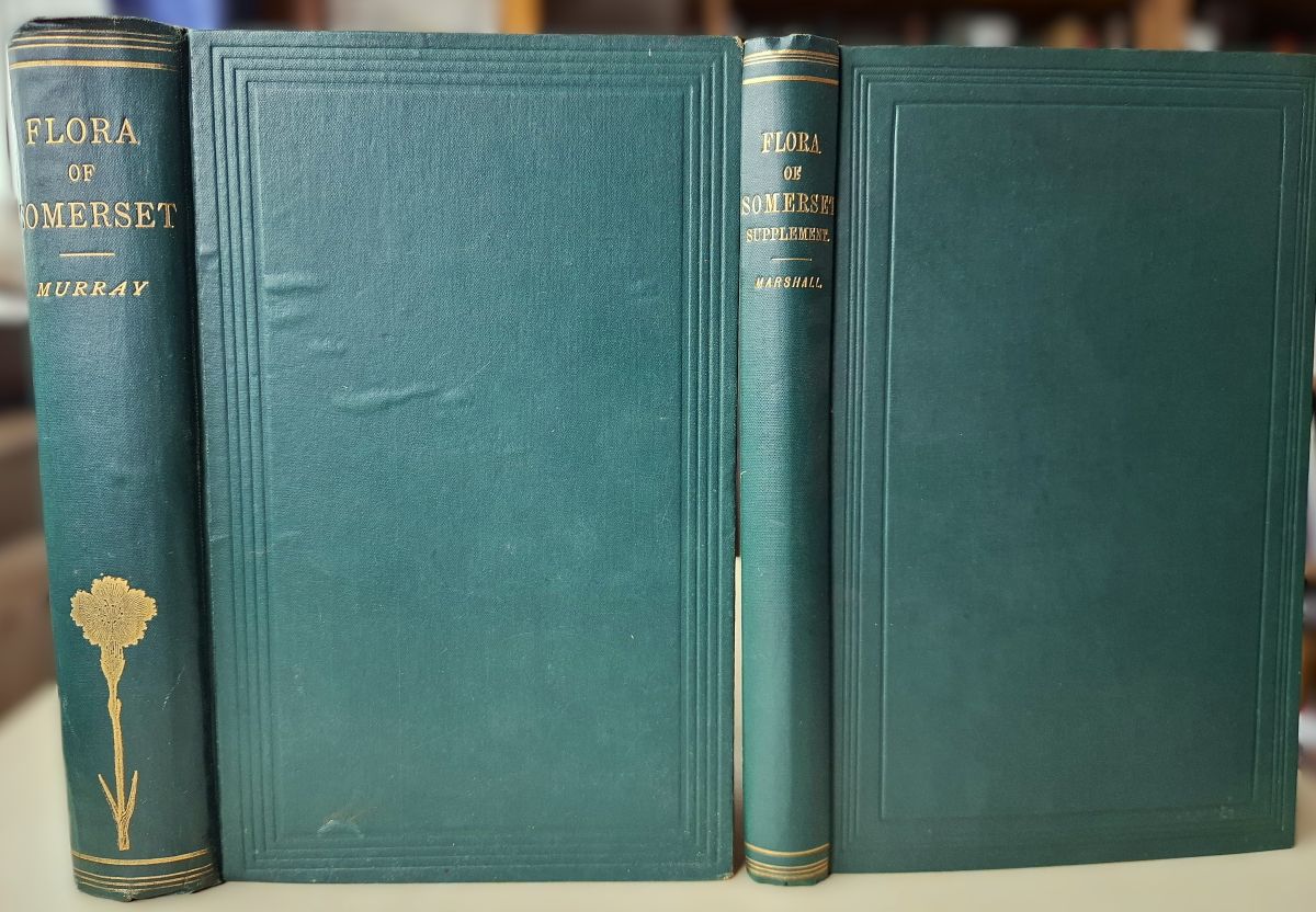 Image for The Flora of Somerset. + Supplement to the Flora The Flora of Somerset. + Supplement to the Flora