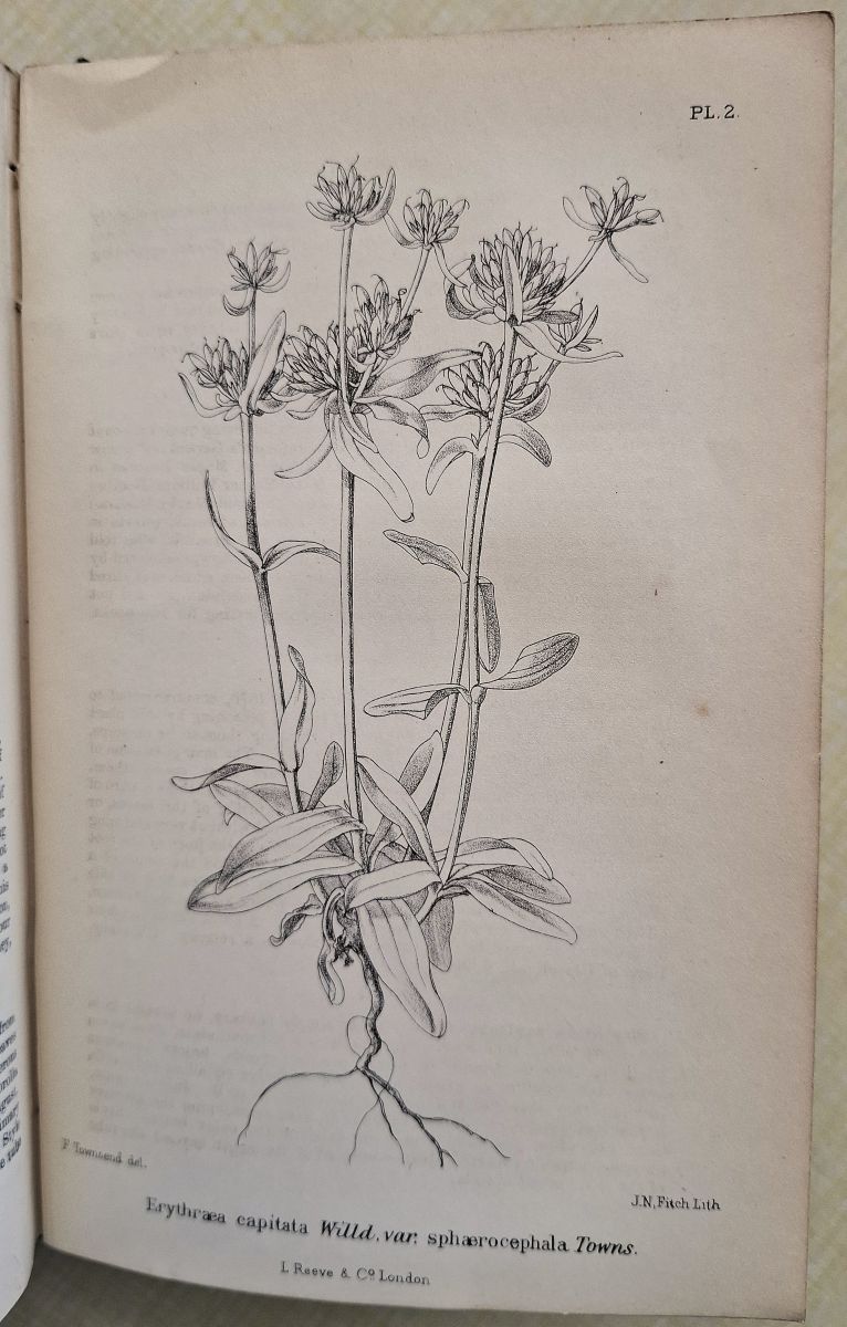 Flora of Hampshire, including the Isle of Wight; or, a list of the flowering plants and ferns found in the county of Southampton, with localities of the less common species