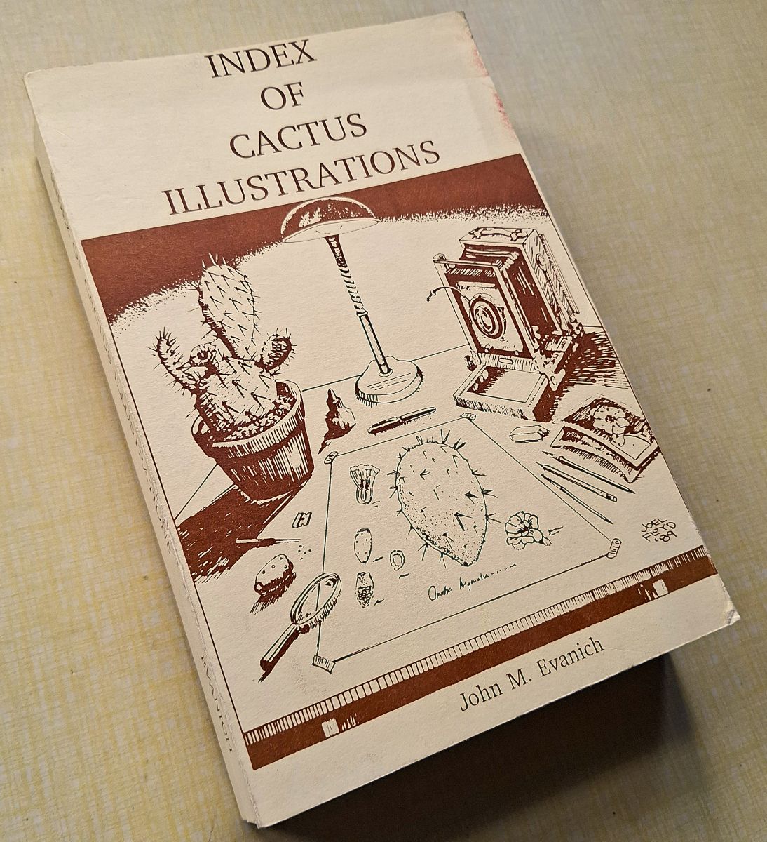 Image for Index of Cactus Illustrations Index of Cactus Illustrations