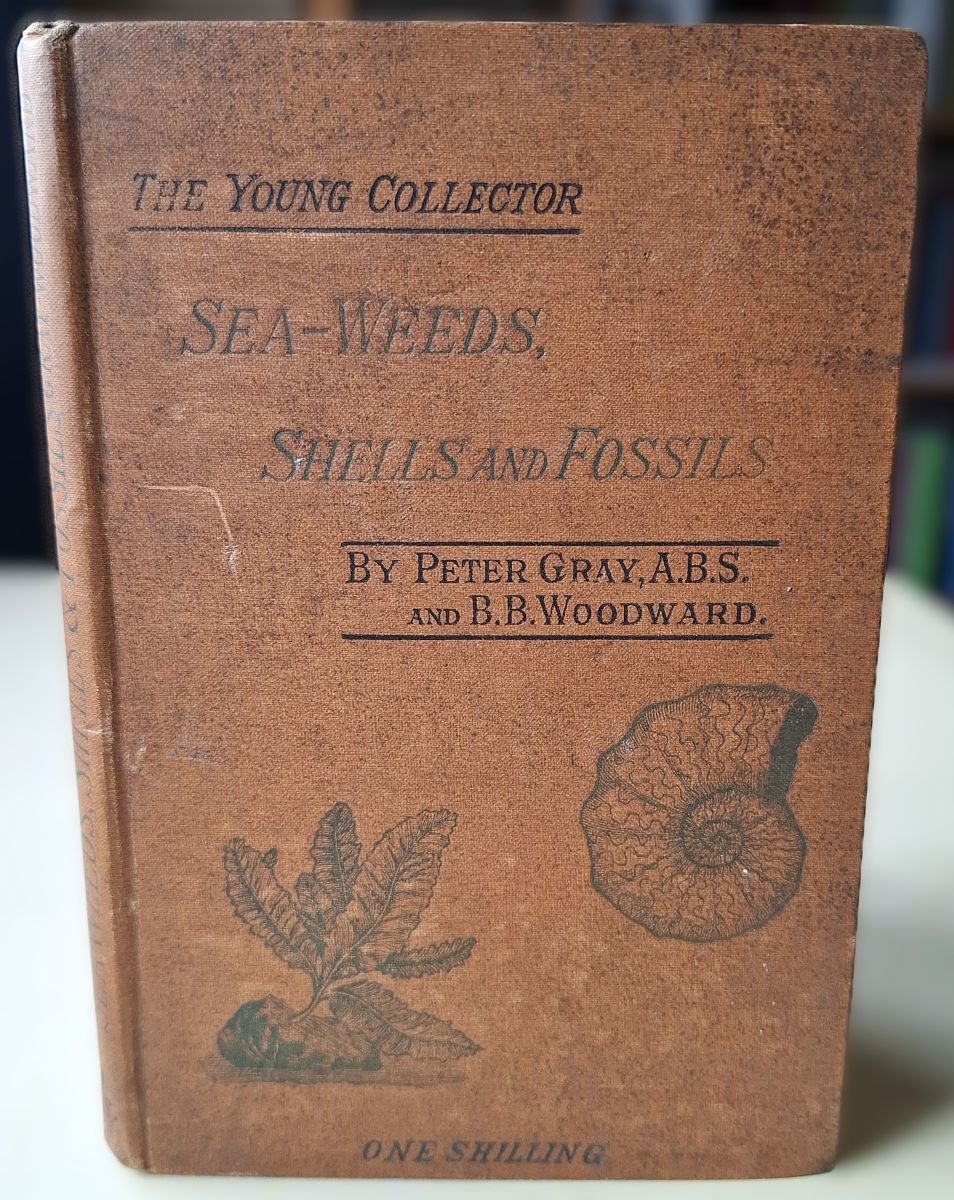Sea-weeds, Shells and Fossils (oung Collector series)